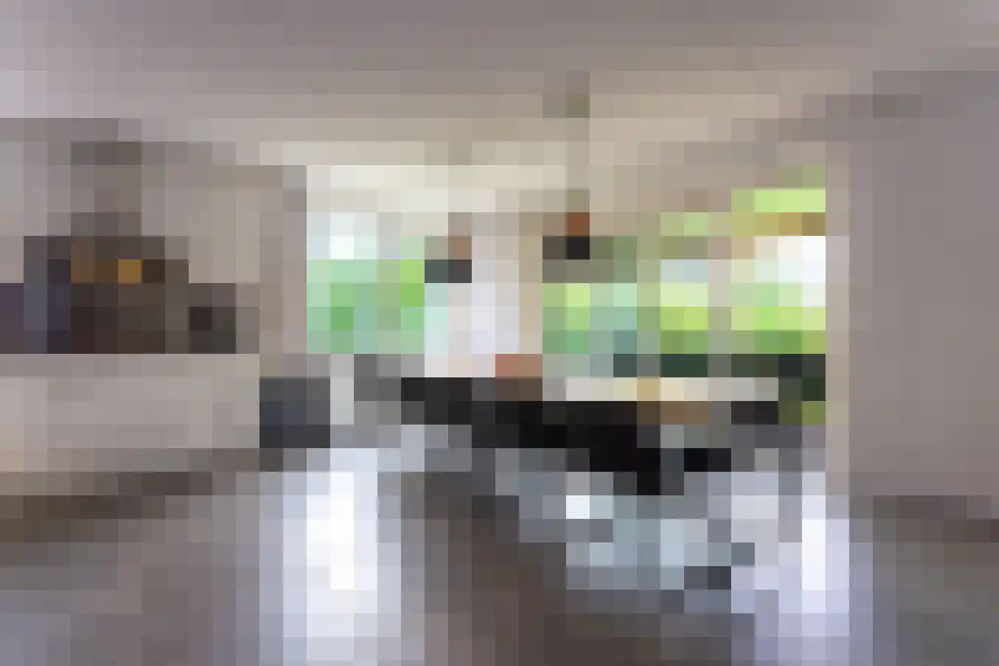 Zeedijk 24 566 Nieuwvliet thumbnail 12