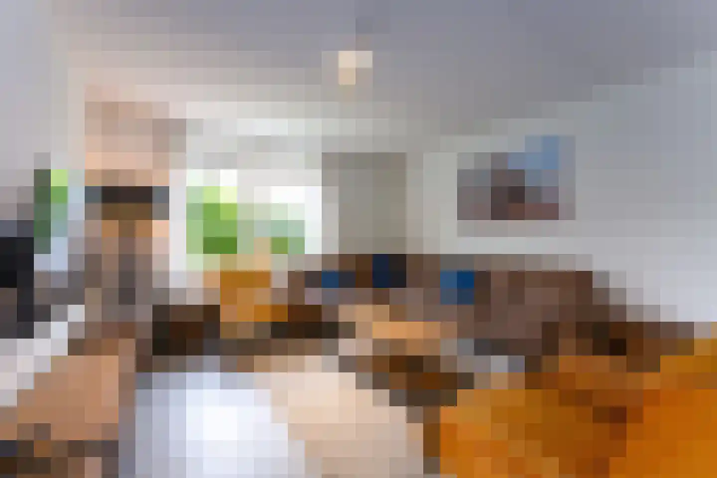 Zeedijk 24 566 Nieuwvliet thumbnail 13