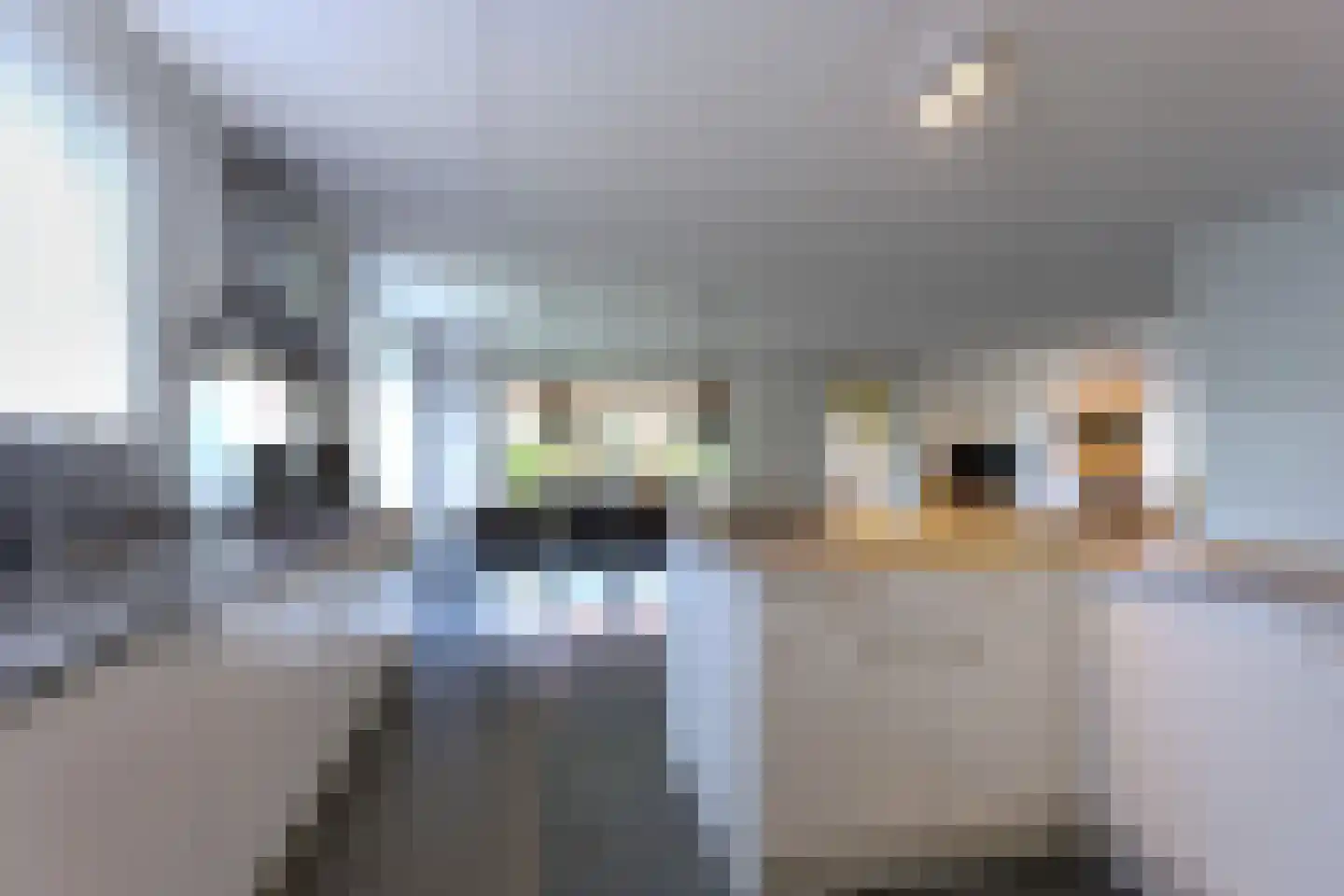 Zeedijk 24 566 Nieuwvliet thumbnail 16