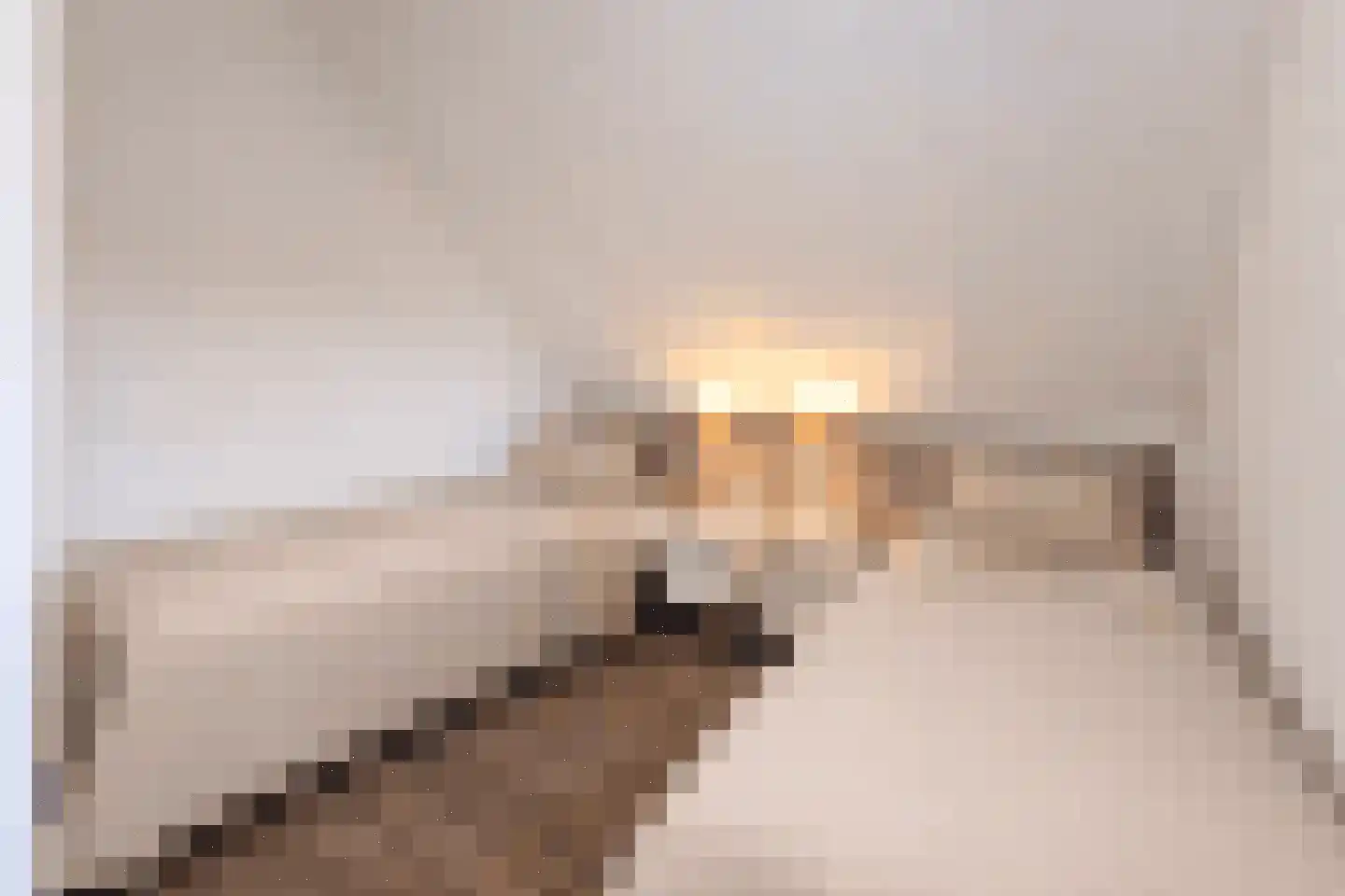 Zeedijk 24 566 Nieuwvliet thumbnail 27