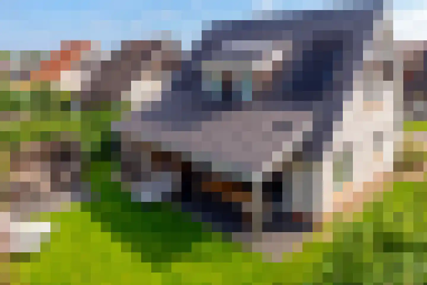 Zeedijk 24 566 Nieuwvliet thumbnail 35