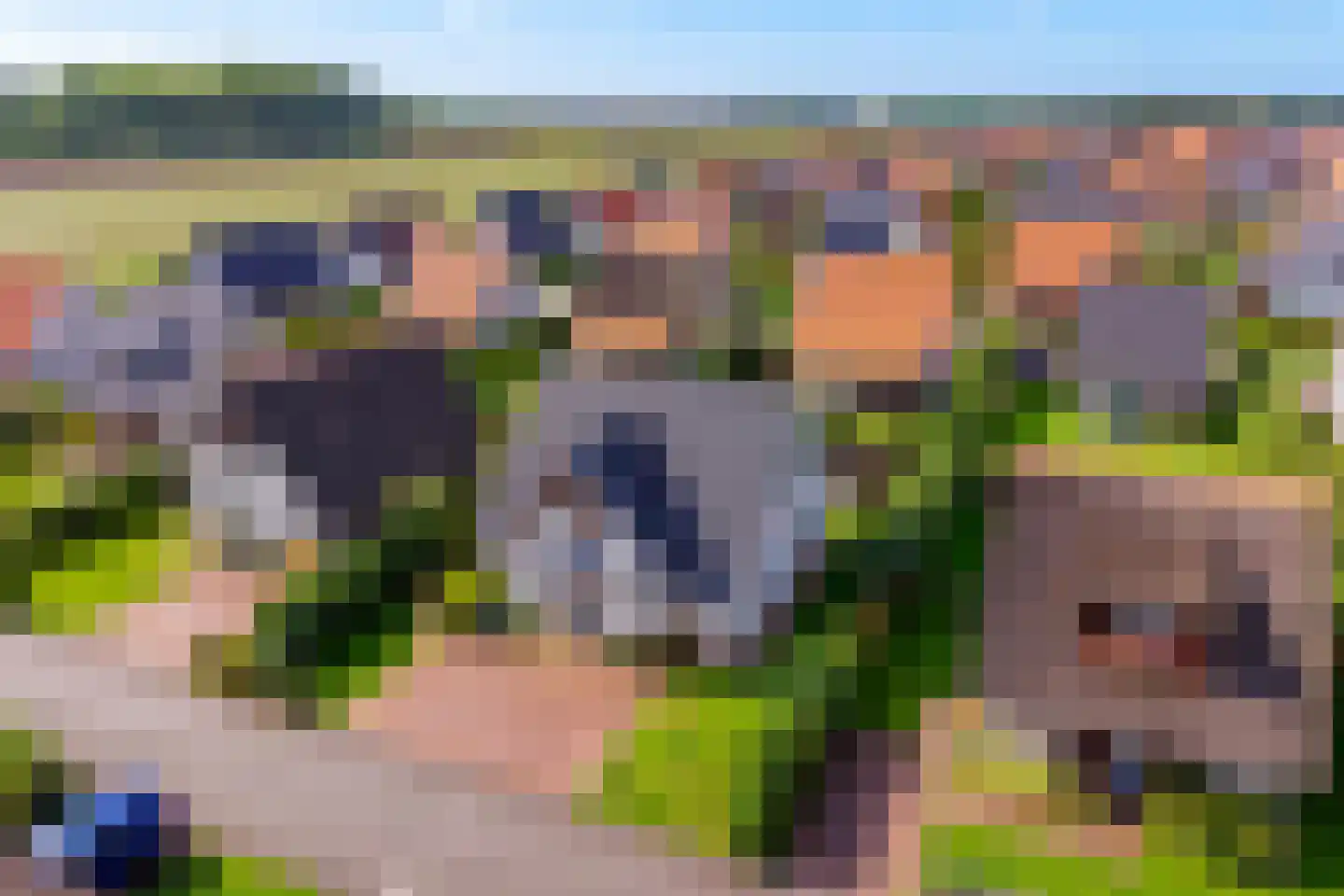 Zeedijk 24 566 Nieuwvliet thumbnail 36