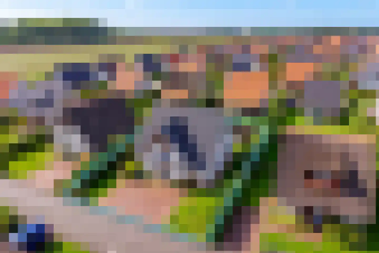 Zeedijk 24 566 Nieuwvliet thumbnail 4