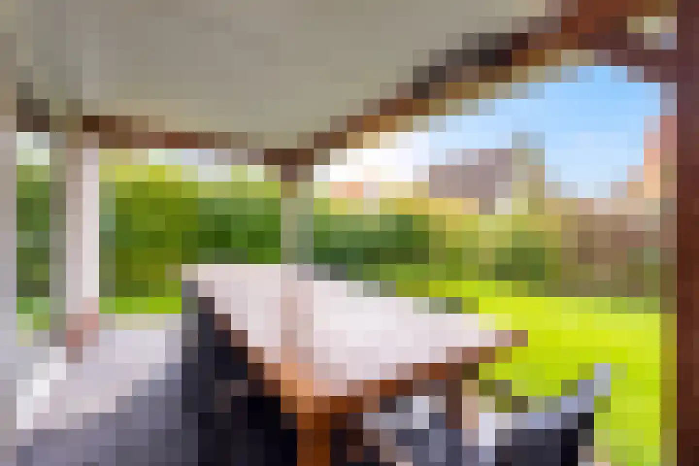 Zeedijk 24 566 Nieuwvliet thumbnail 6