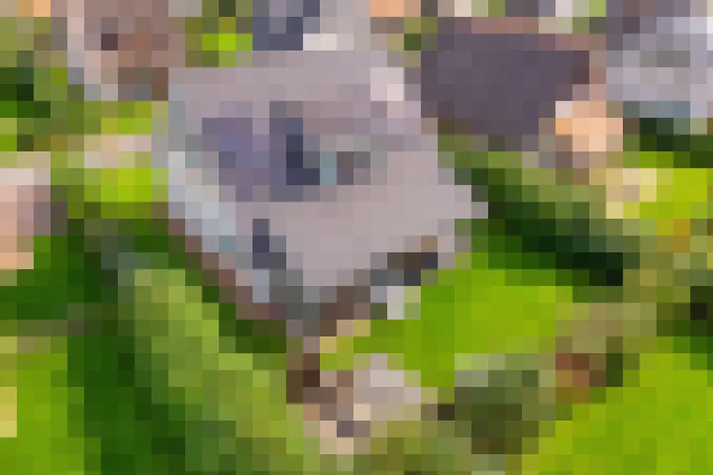 Zeedijk 24 566 Nieuwvliet thumbnail 7