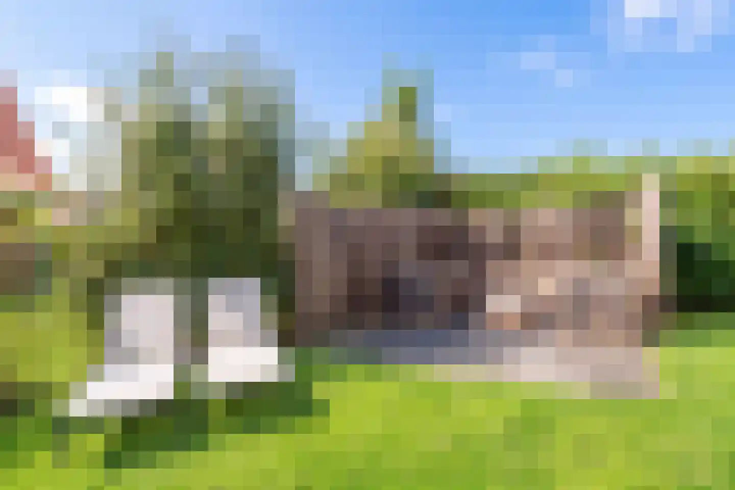 Zeedijk 24 566 Nieuwvliet thumbnail 9