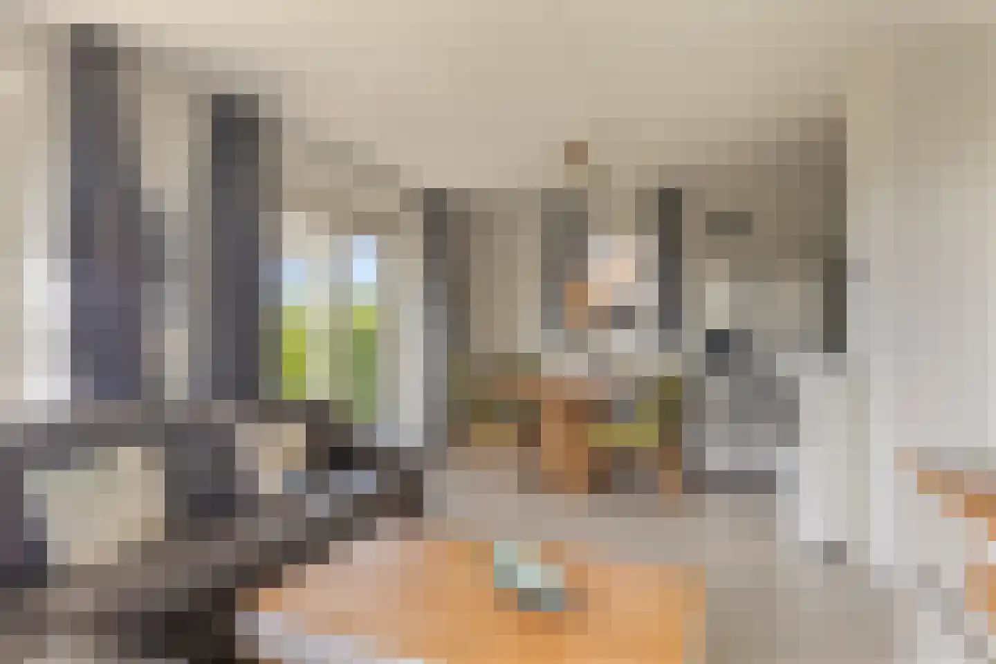 Zeedijk 24 584 Nieuwvliet thumbnail 10