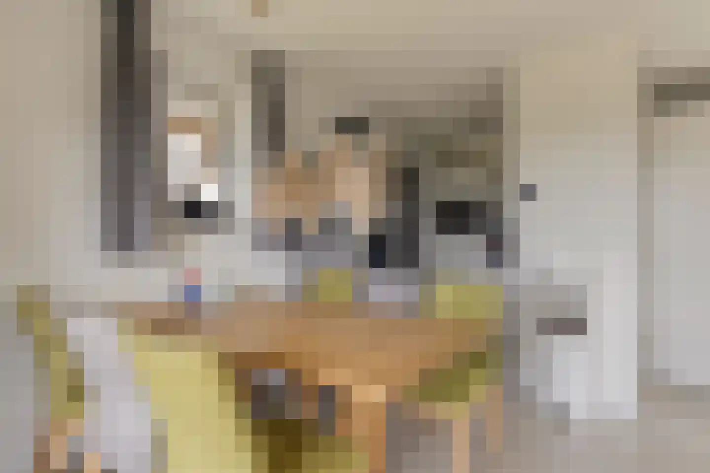 Zeedijk 24 584 Nieuwvliet thumbnail 11