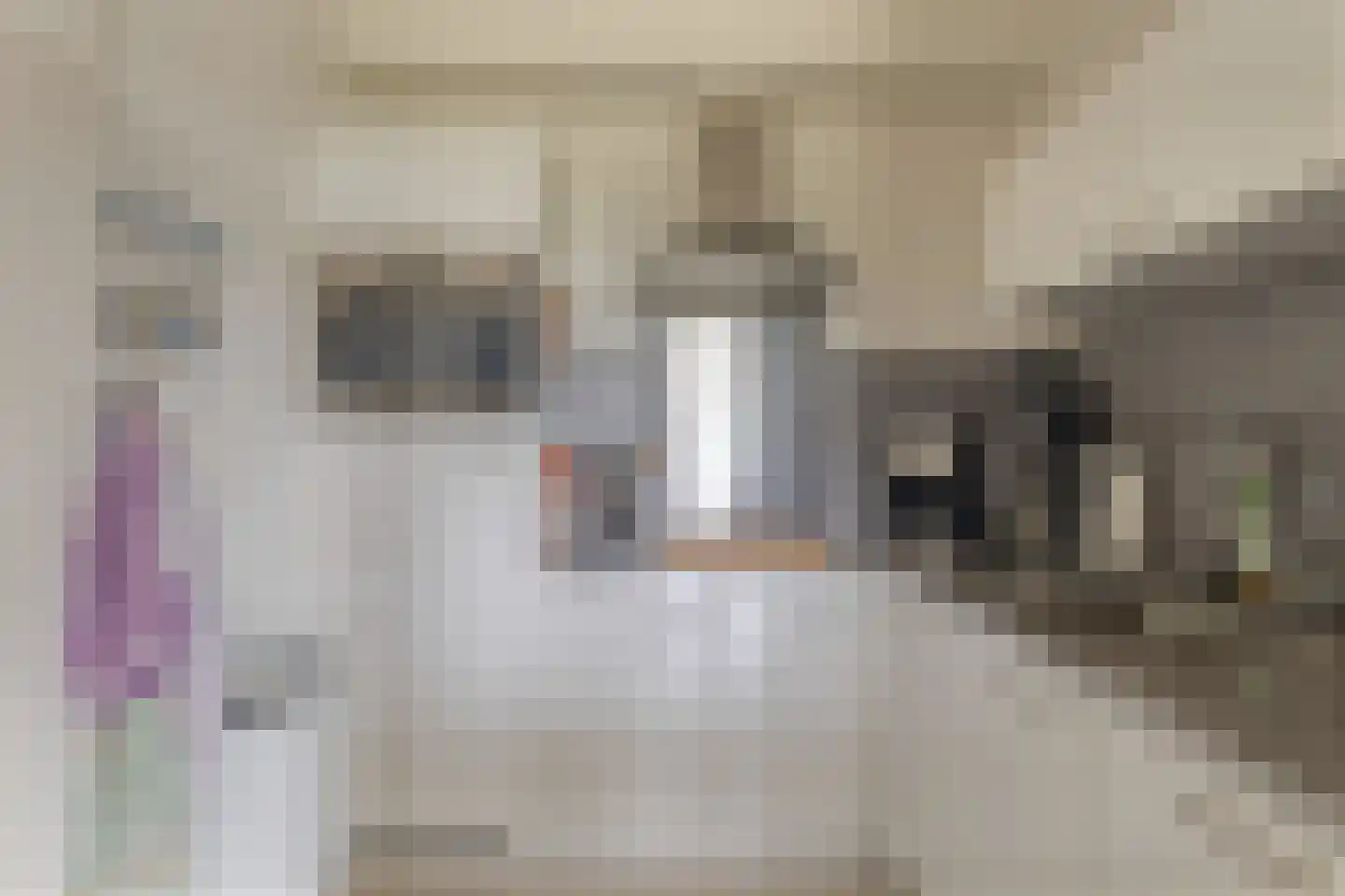Zeedijk 24 584 Nieuwvliet thumbnail 12