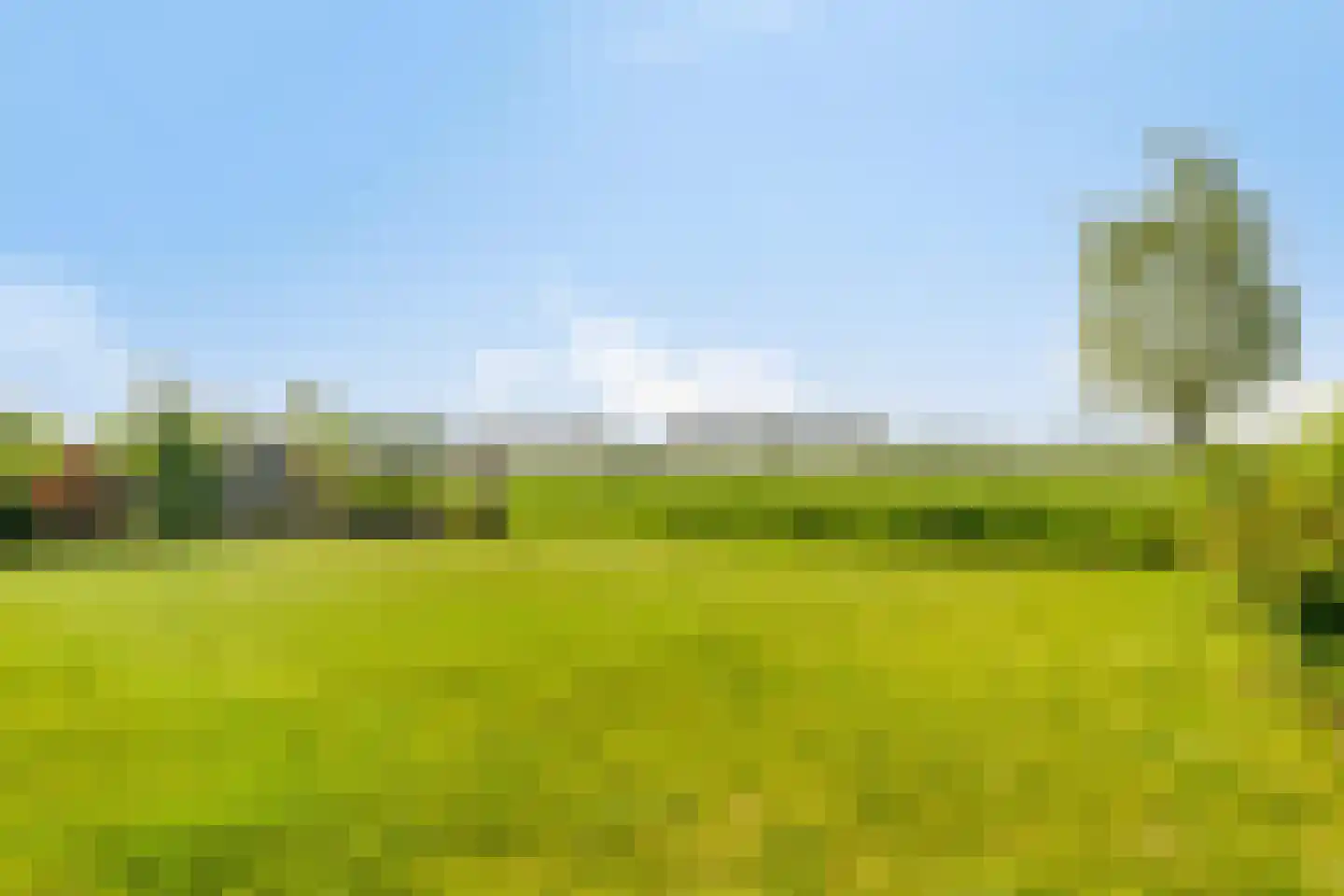 Zeedijk 24 584 Nieuwvliet thumbnail 29