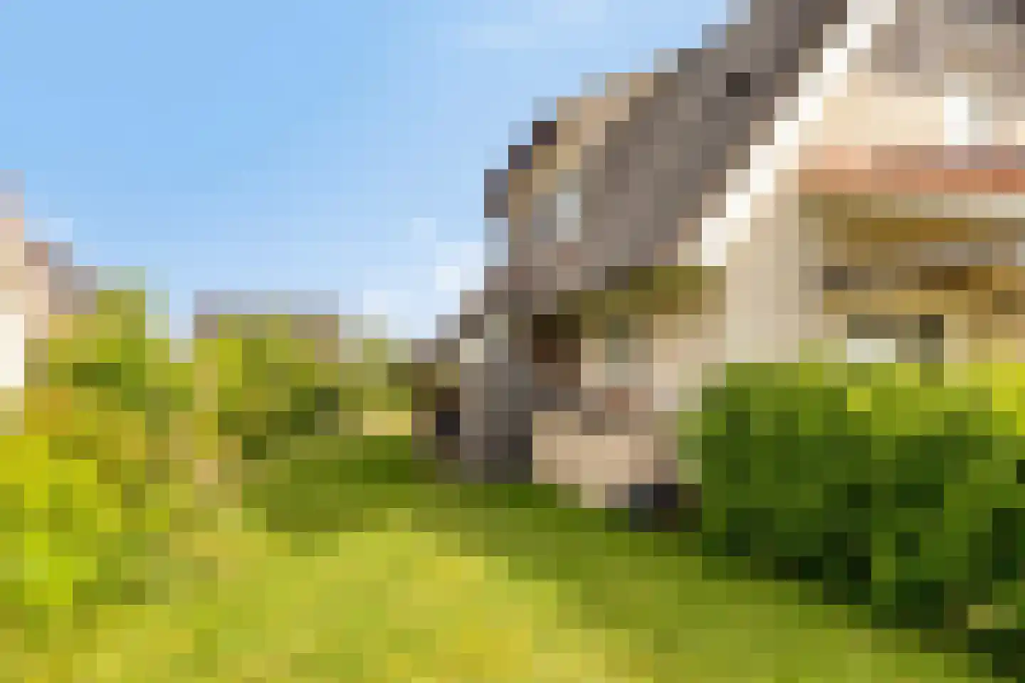 Zeedijk 24 584 Nieuwvliet thumbnail 30