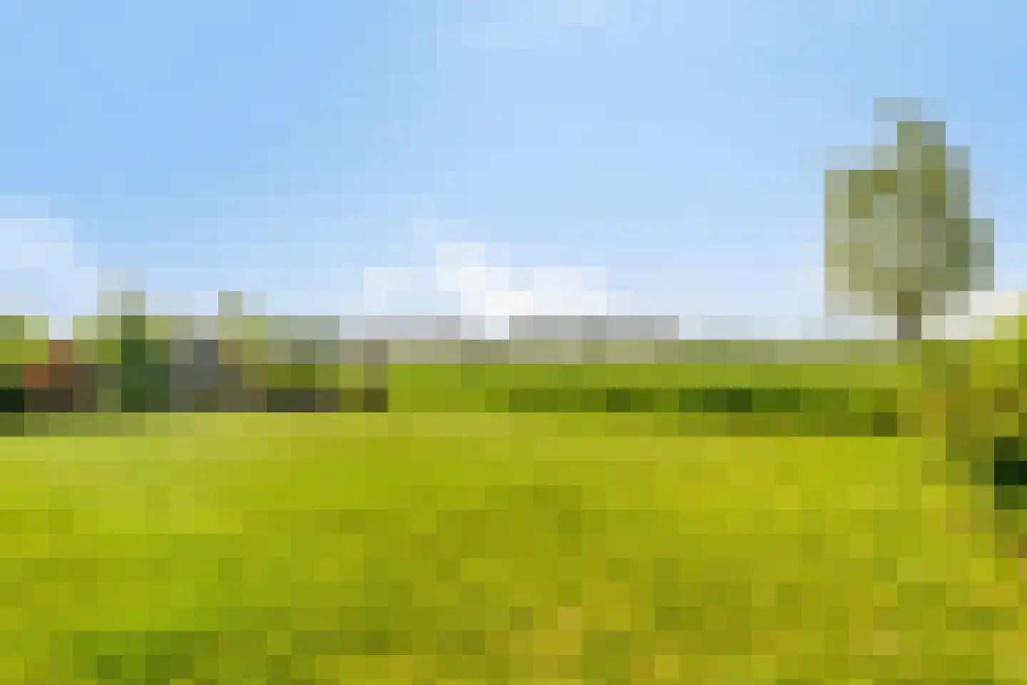 Zeedijk 24 584 Nieuwvliet thumbnail 30