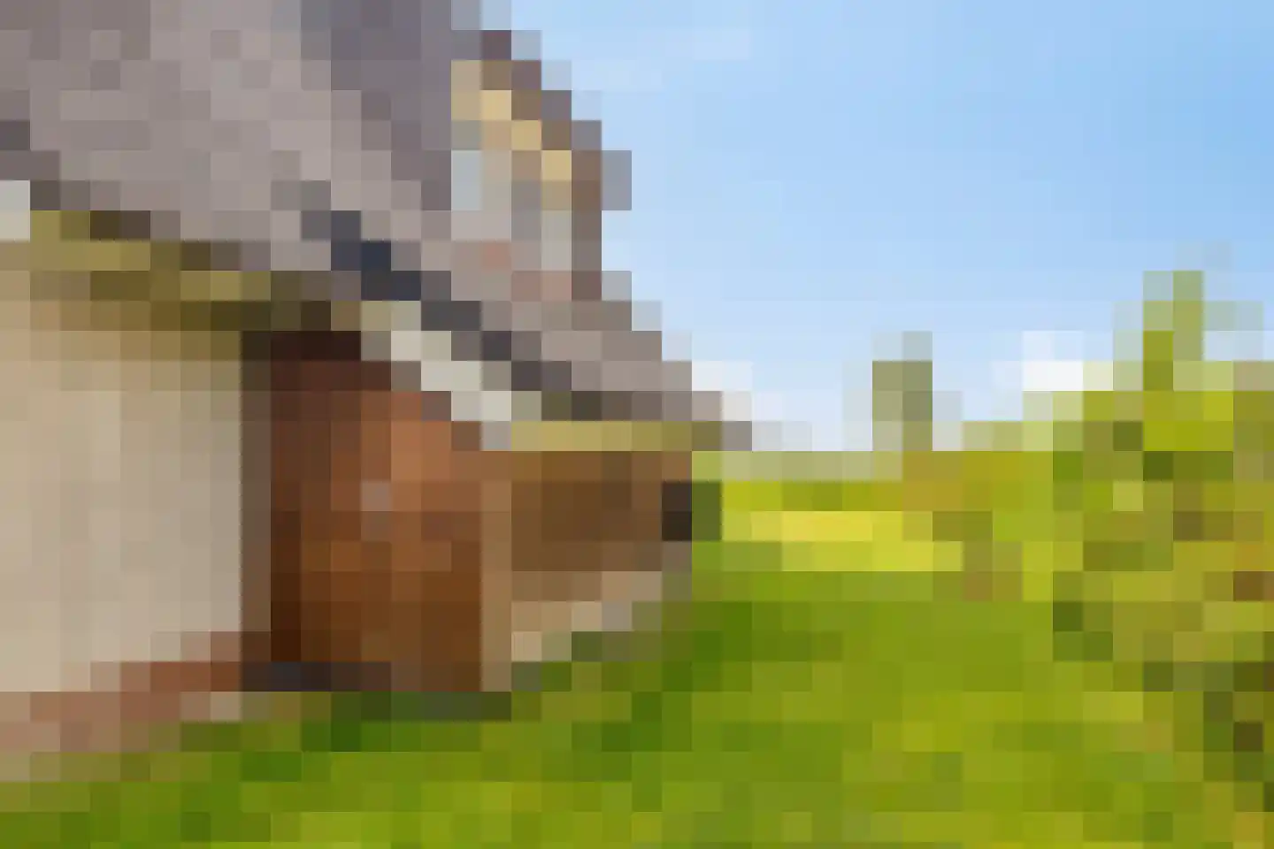 Zeedijk 24 584 Nieuwvliet thumbnail 31
