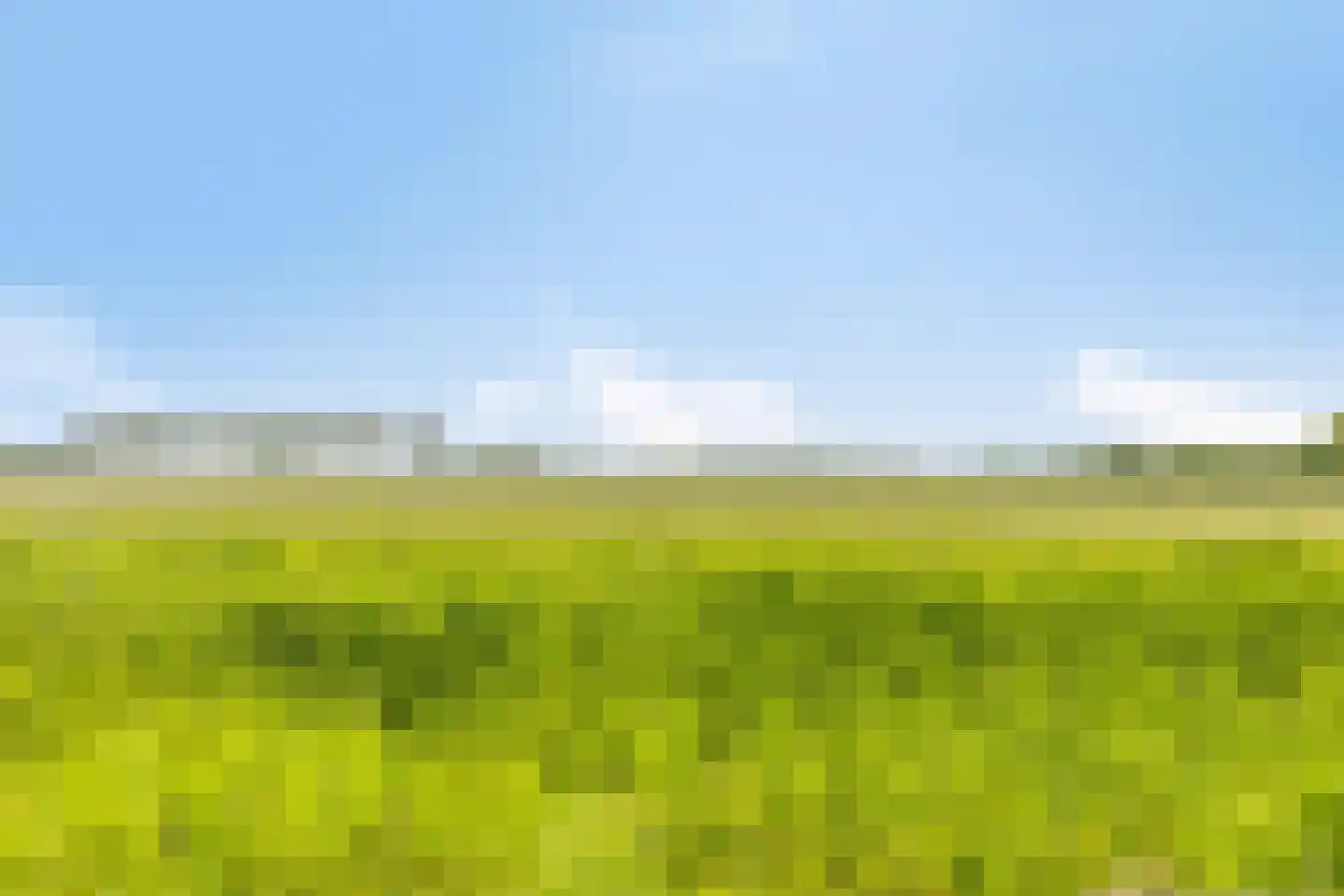 Zeedijk 24 584 Nieuwvliet thumbnail 32