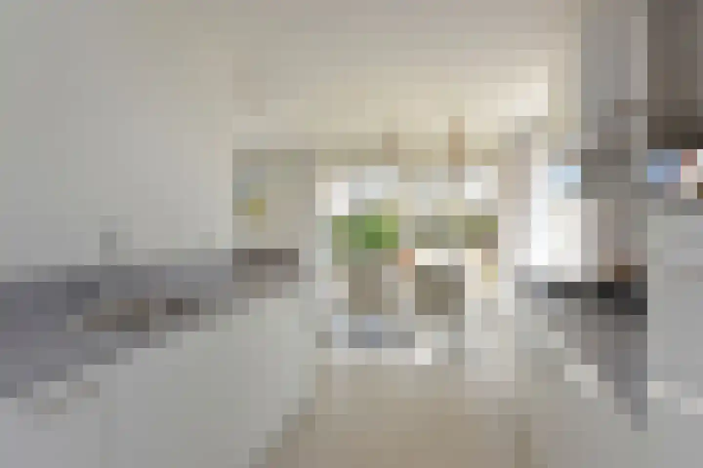 Zeedijk 24 586 Nieuwvliet thumbnail 10