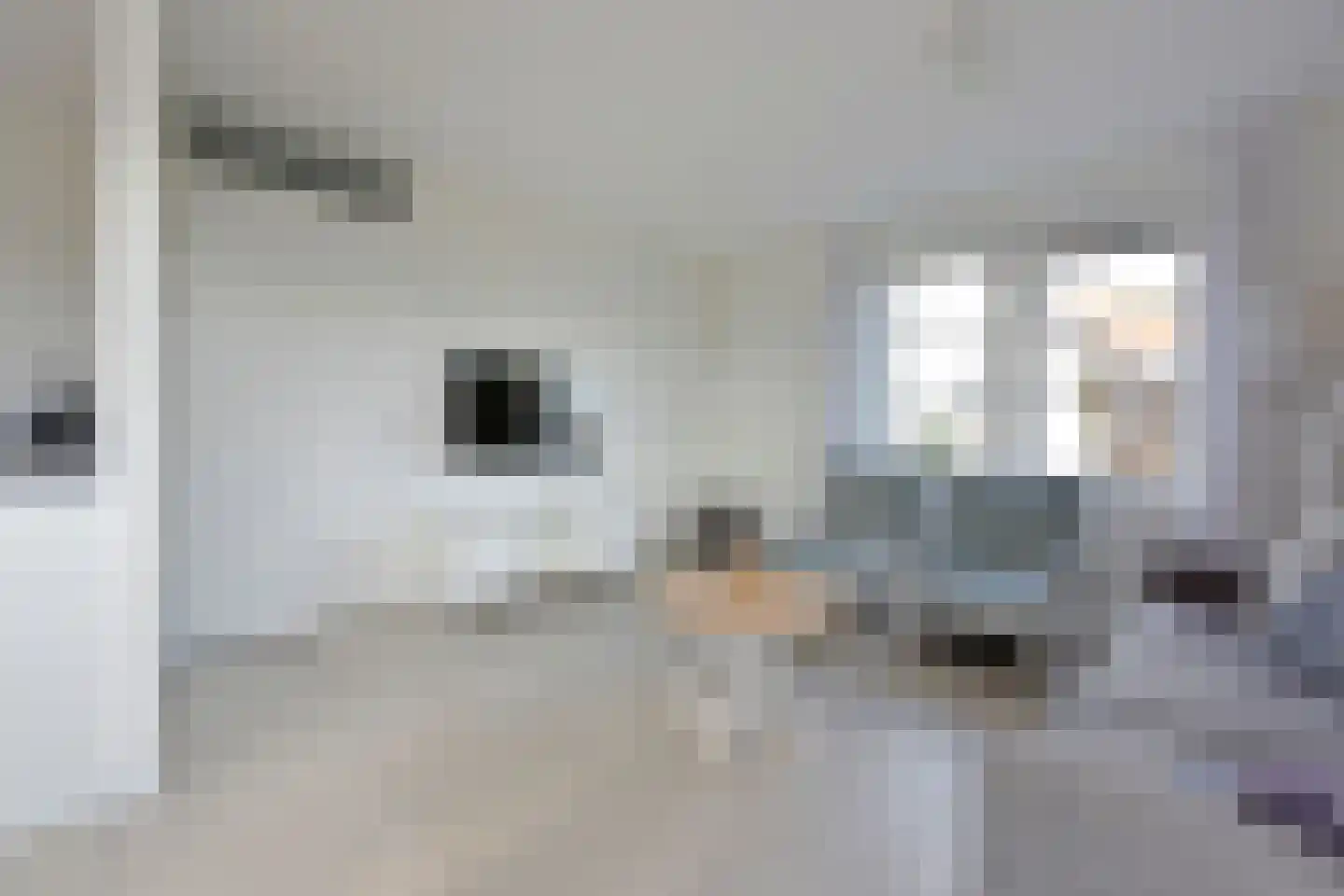 Zeedijk 24 586 Nieuwvliet thumbnail 11
