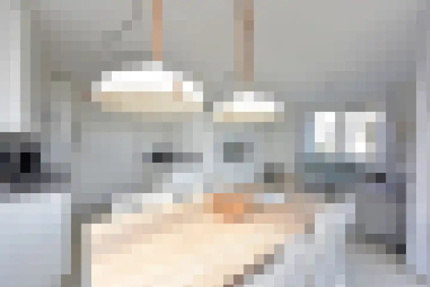 Zeedijk 24 586 Nieuwvliet thumbnail 12