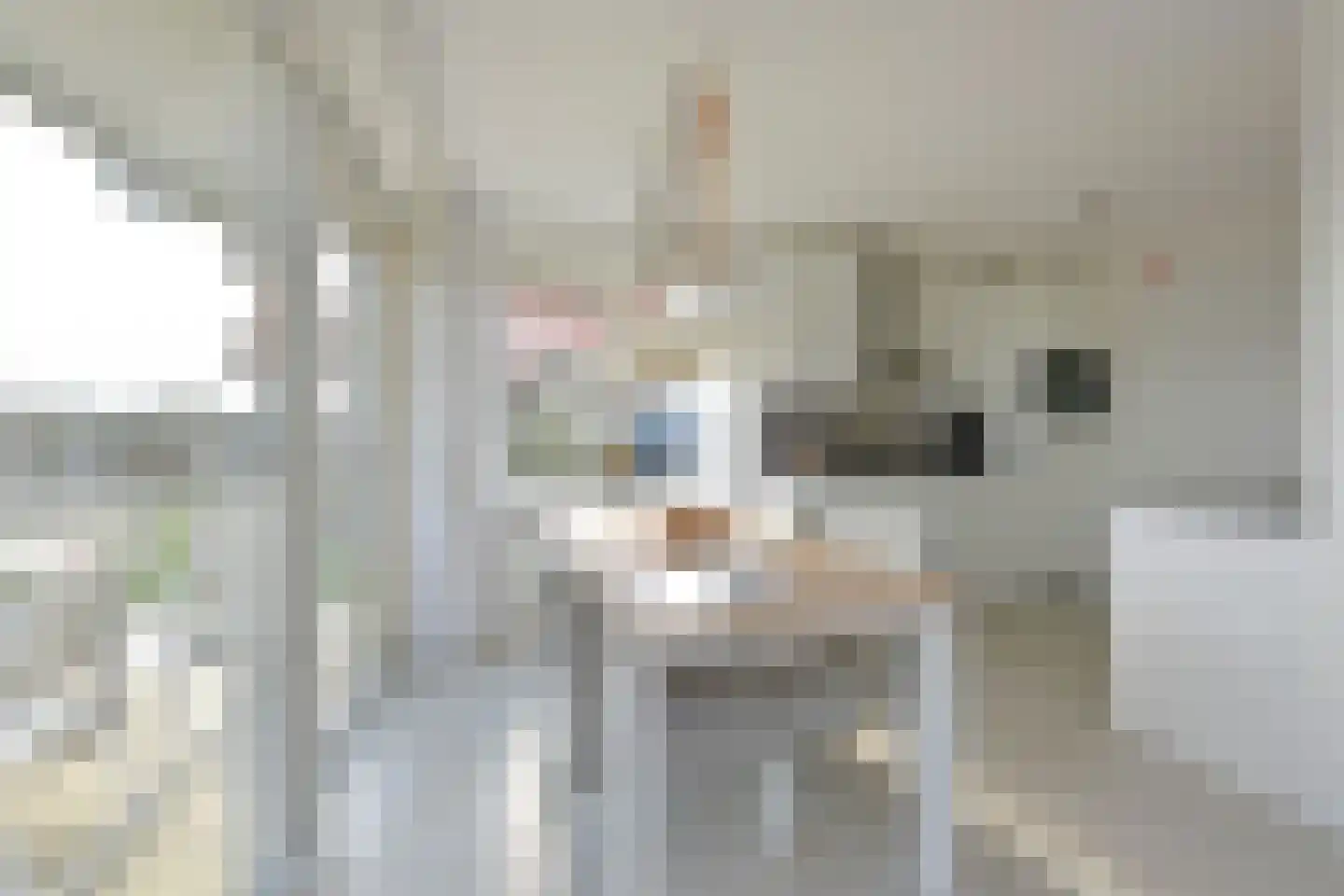 Zeedijk 24 586 Nieuwvliet thumbnail 13