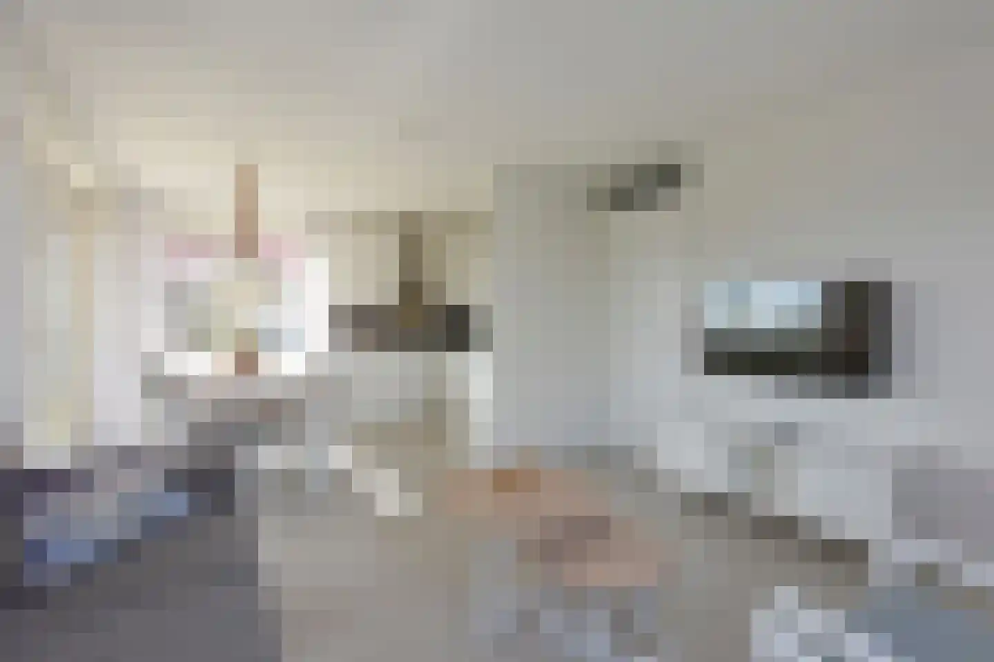 Zeedijk 24 586 Nieuwvliet thumbnail 17