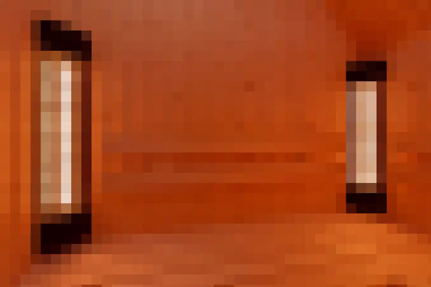 Zeedijk 24 586 Nieuwvliet thumbnail 20