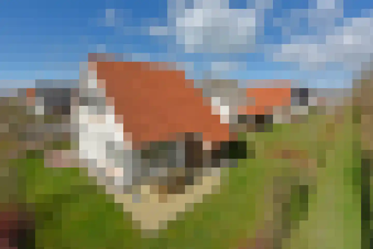 Zeedijk 24 586 Nieuwvliet thumbnail 28