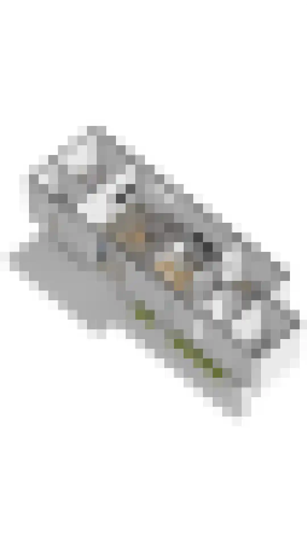 Zeedijk 24 601 Nieuwvliet thumbnail 18
