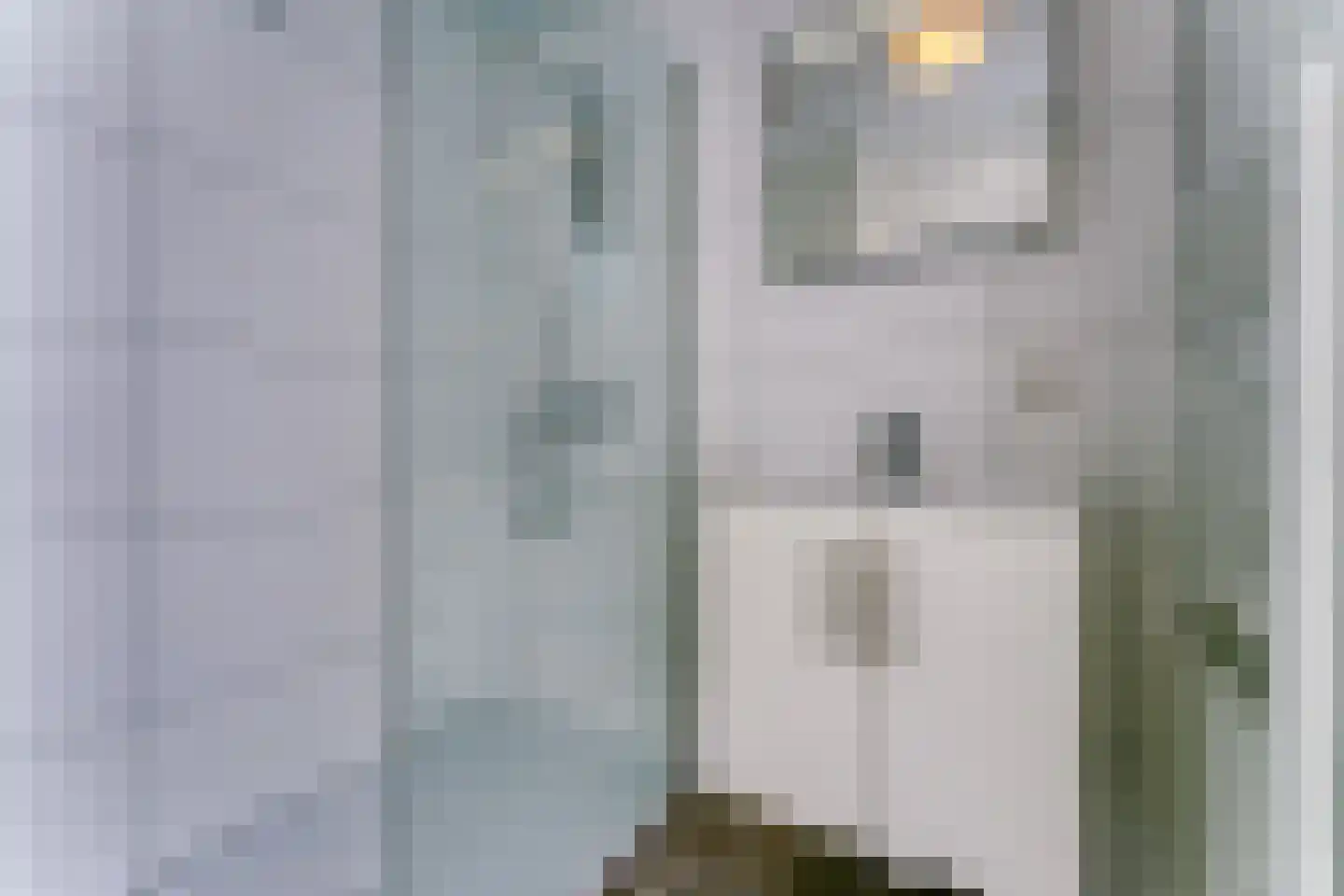 Zeedijk 24 601 Nieuwvliet thumbnail 5