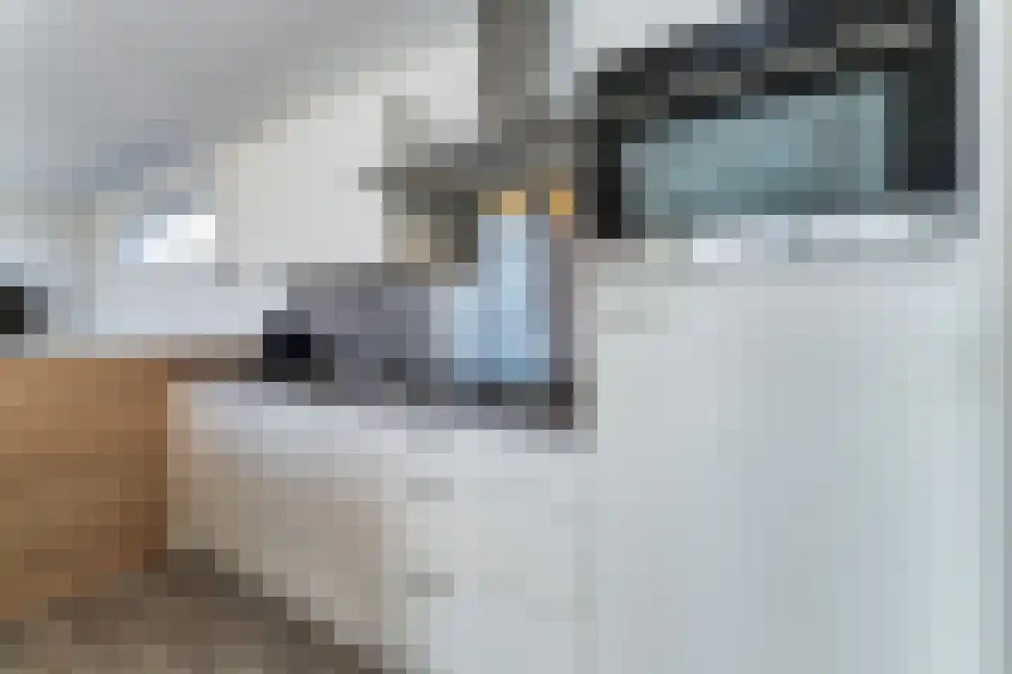 Zeedijk 24 601 Nieuwvliet thumbnail 8