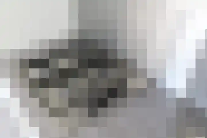 Zeedijk 24 614 Nieuwvliet thumbnail 13