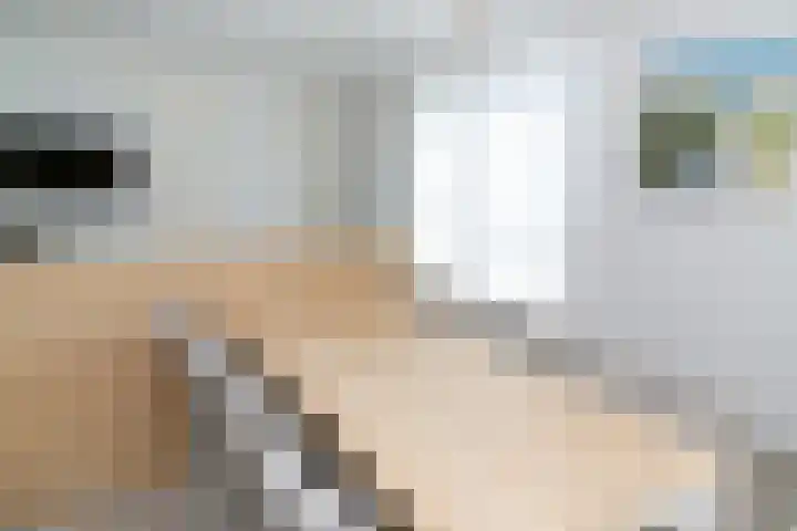 Zeedijk 24 614 Nieuwvliet thumbnail 14