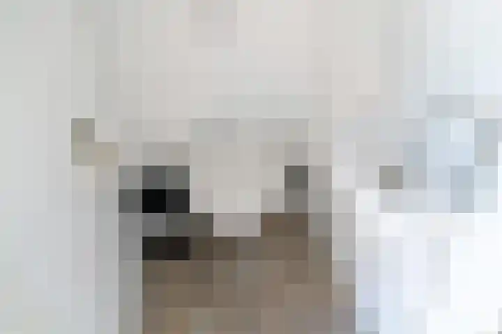 Zeedijk 24 614 Nieuwvliet thumbnail 22