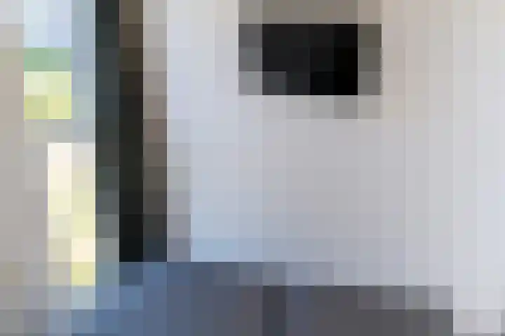 Zeedijk 24 614 Nieuwvliet thumbnail 26