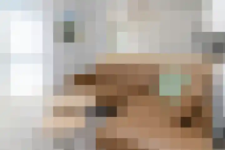 Zeedijk 24 614 Nieuwvliet thumbnail 5