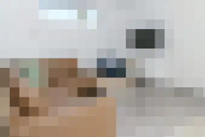 Zeedijk 24 614 Nieuwvliet thumbnail 9