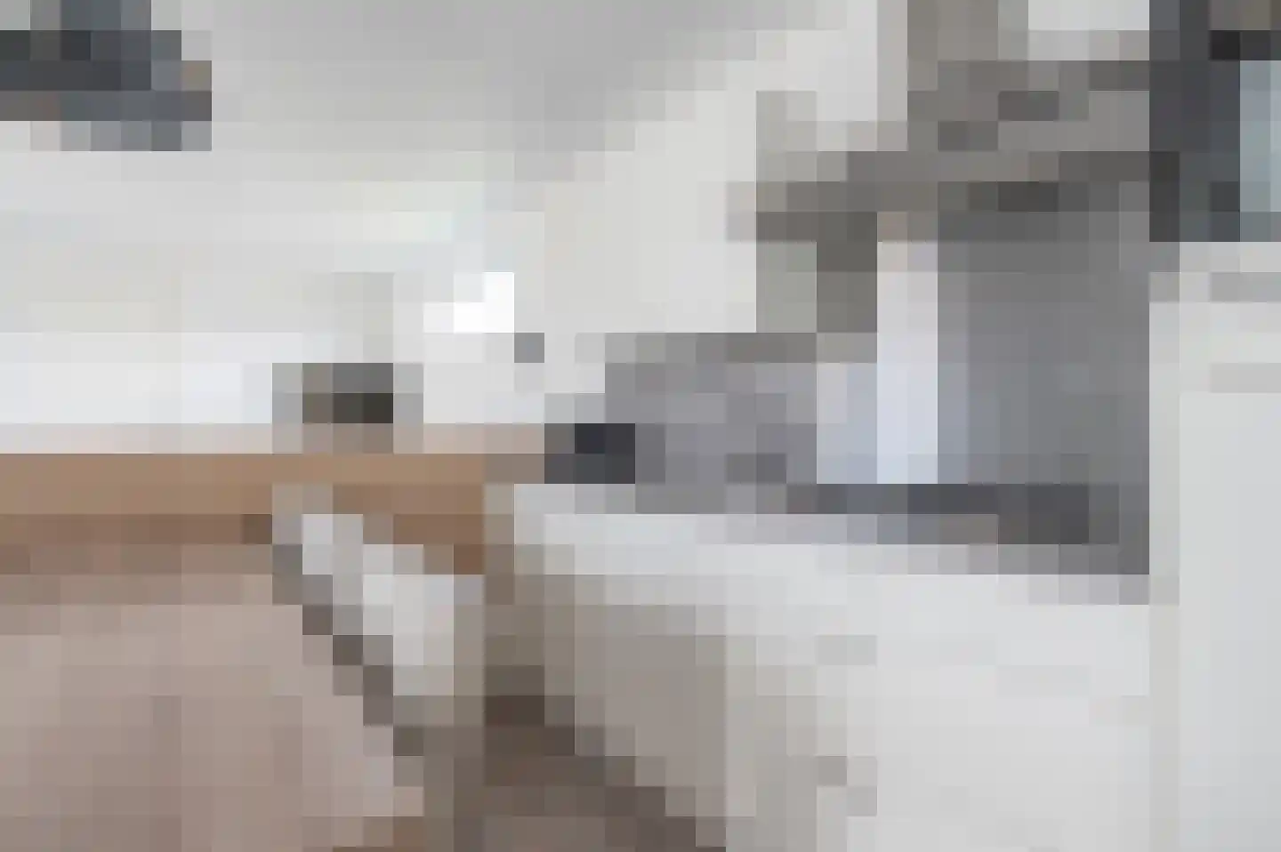 Zeedijk 24 629 Nieuwvliet thumbnail 12