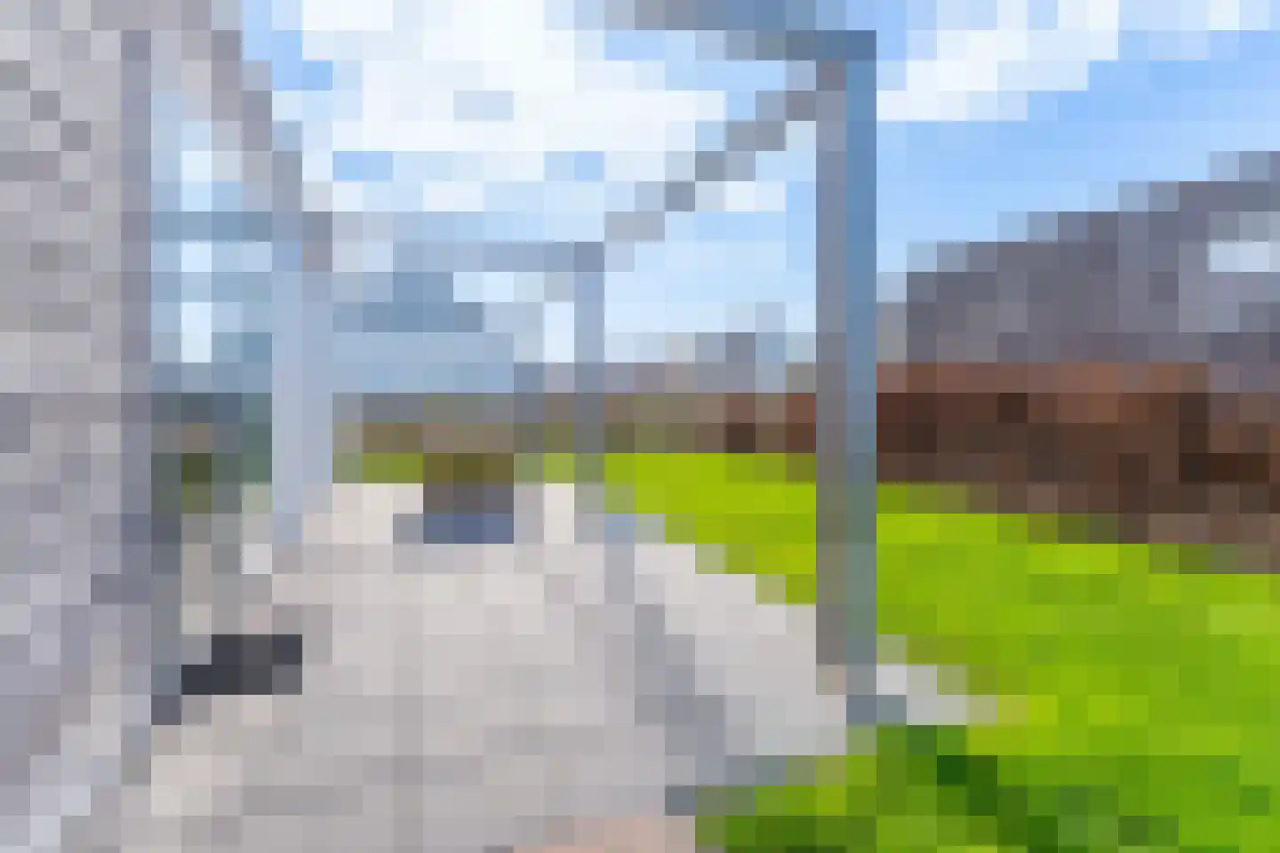 Zeedijk 24 635 Nieuwvliet thumbnail 16