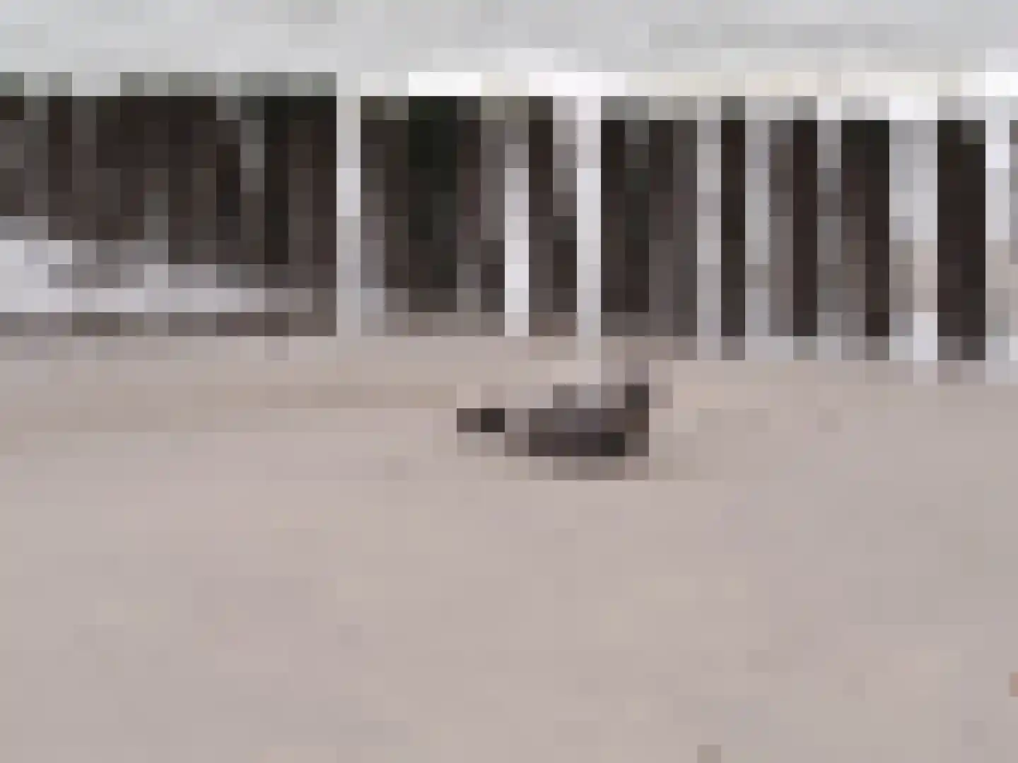 Zeedijk 24 635 Nieuwvliet thumbnail 29
