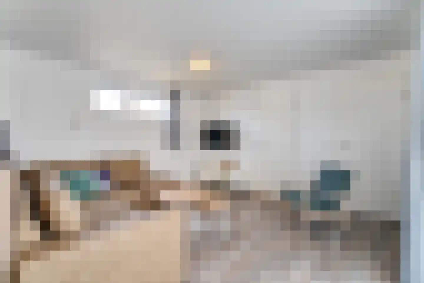 Zeedijk 24 635 Nieuwvliet thumbnail 8