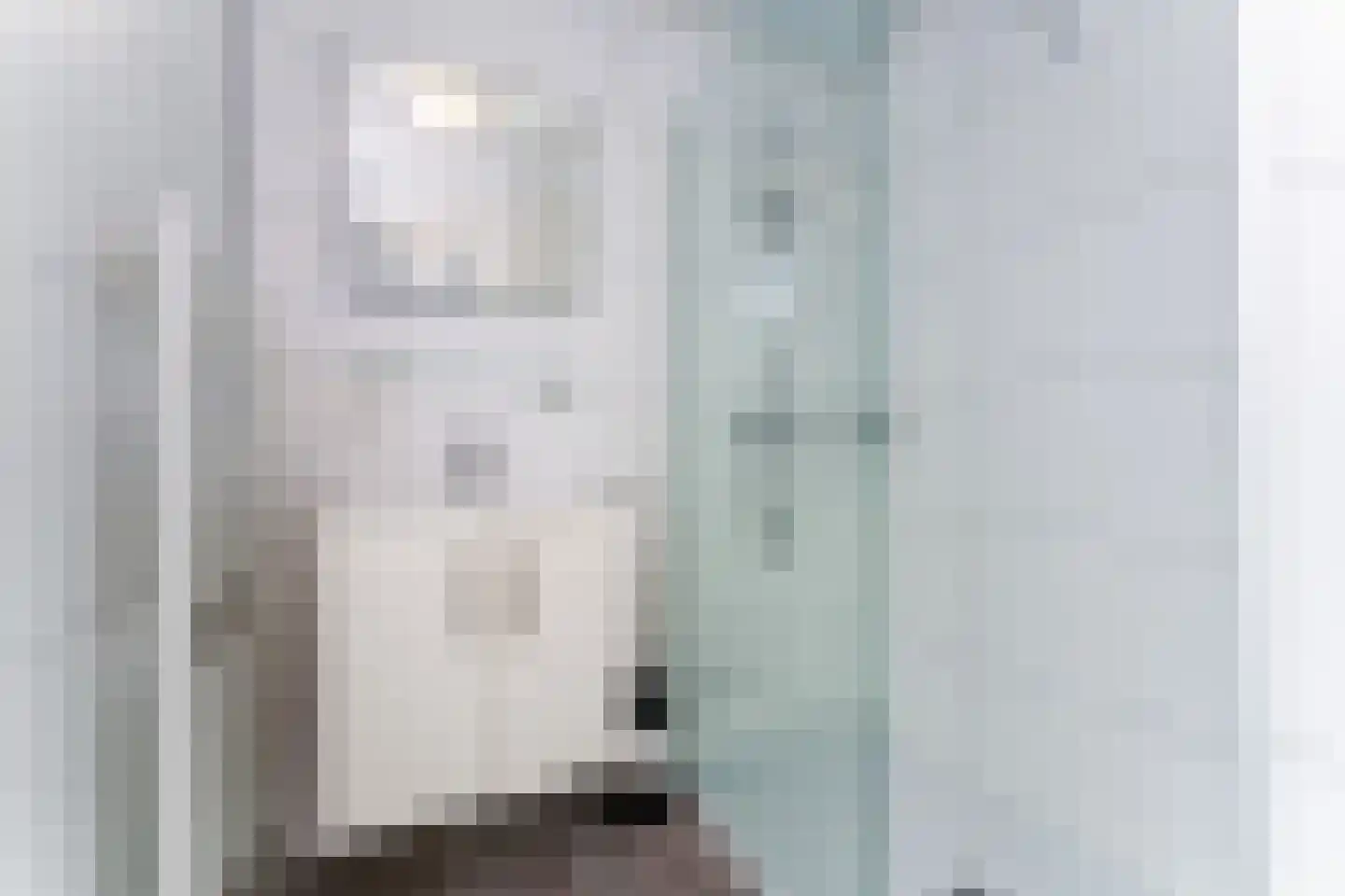 Zeedijk 24 638 Nieuwvliet thumbnail 12