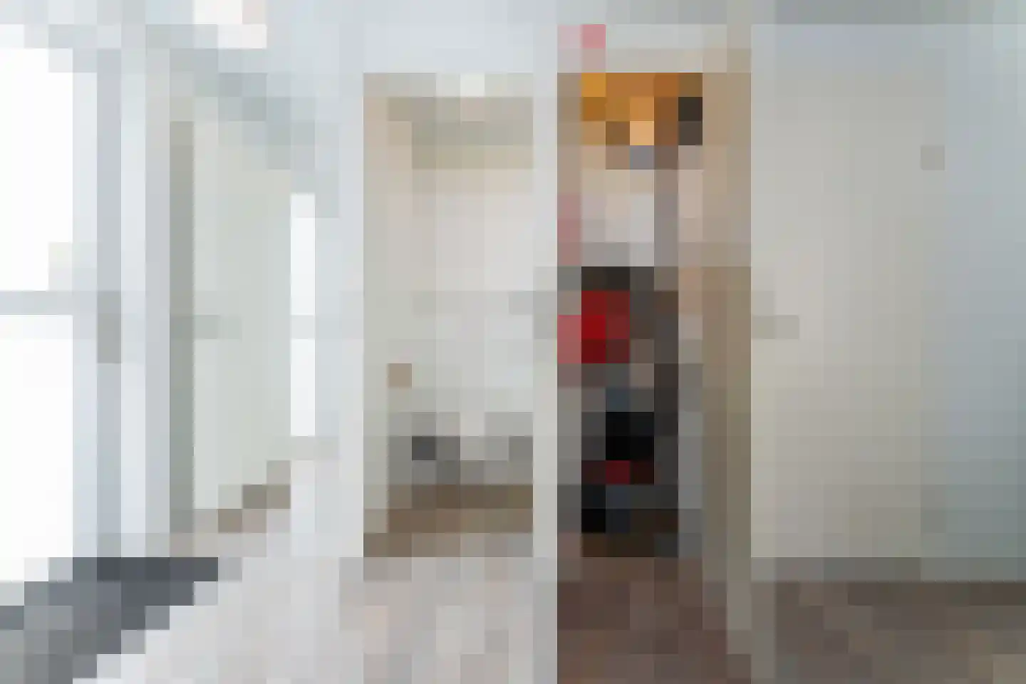 Zeedijk 24 638 Nieuwvliet thumbnail 13