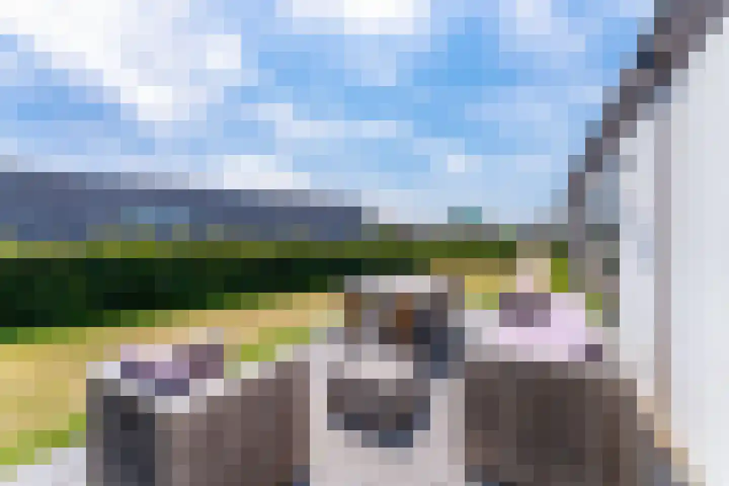 Zeedijk 24 638 Nieuwvliet thumbnail 6