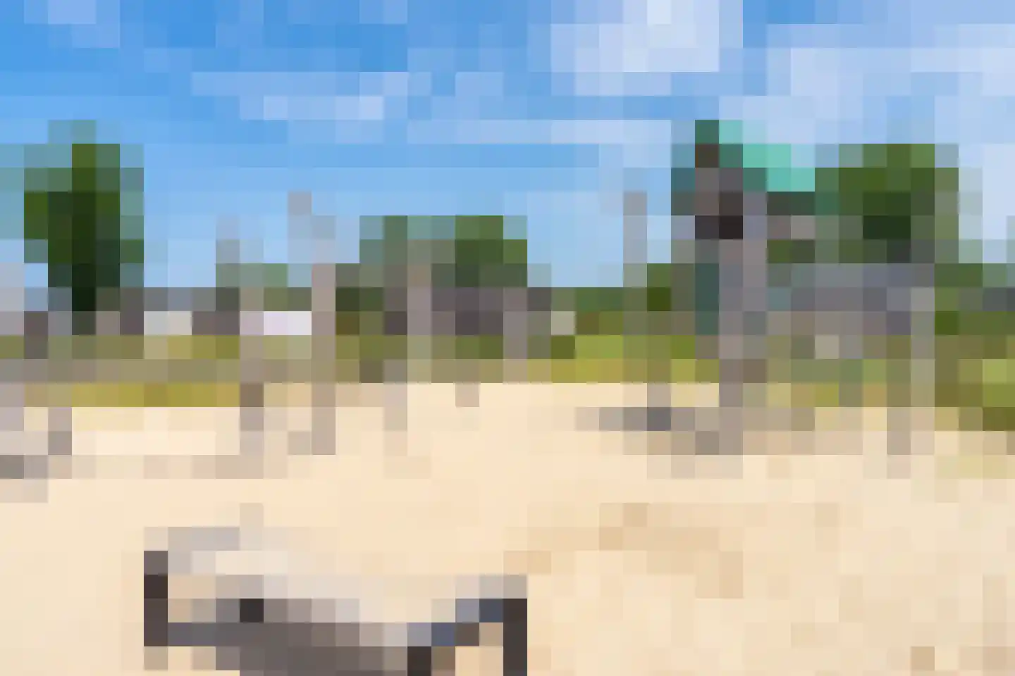 Zeedijk 24 638 Nieuwvliet thumbnail 7