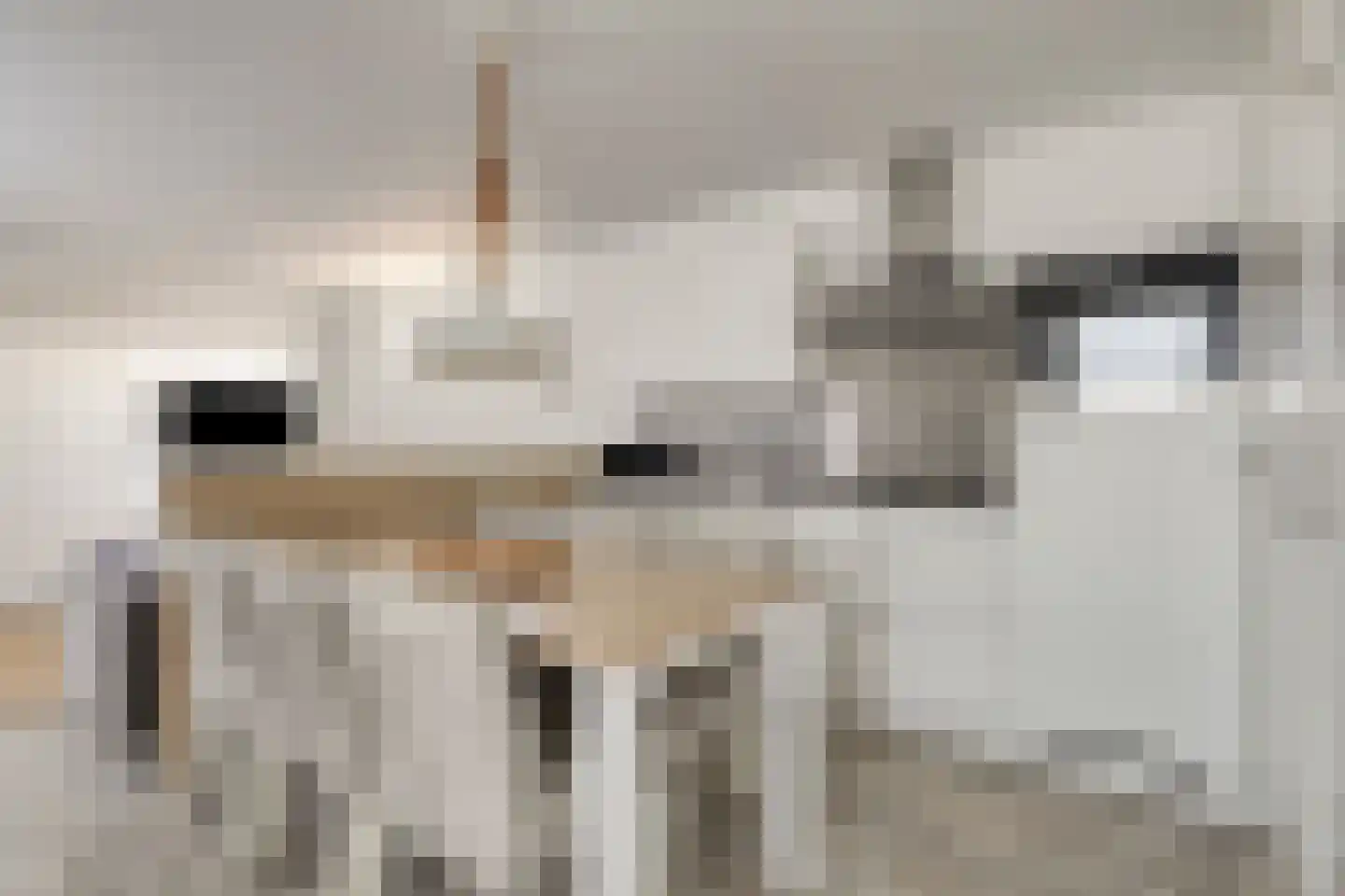 Zeedijk 24 641 Nieuwvliet thumbnail 10