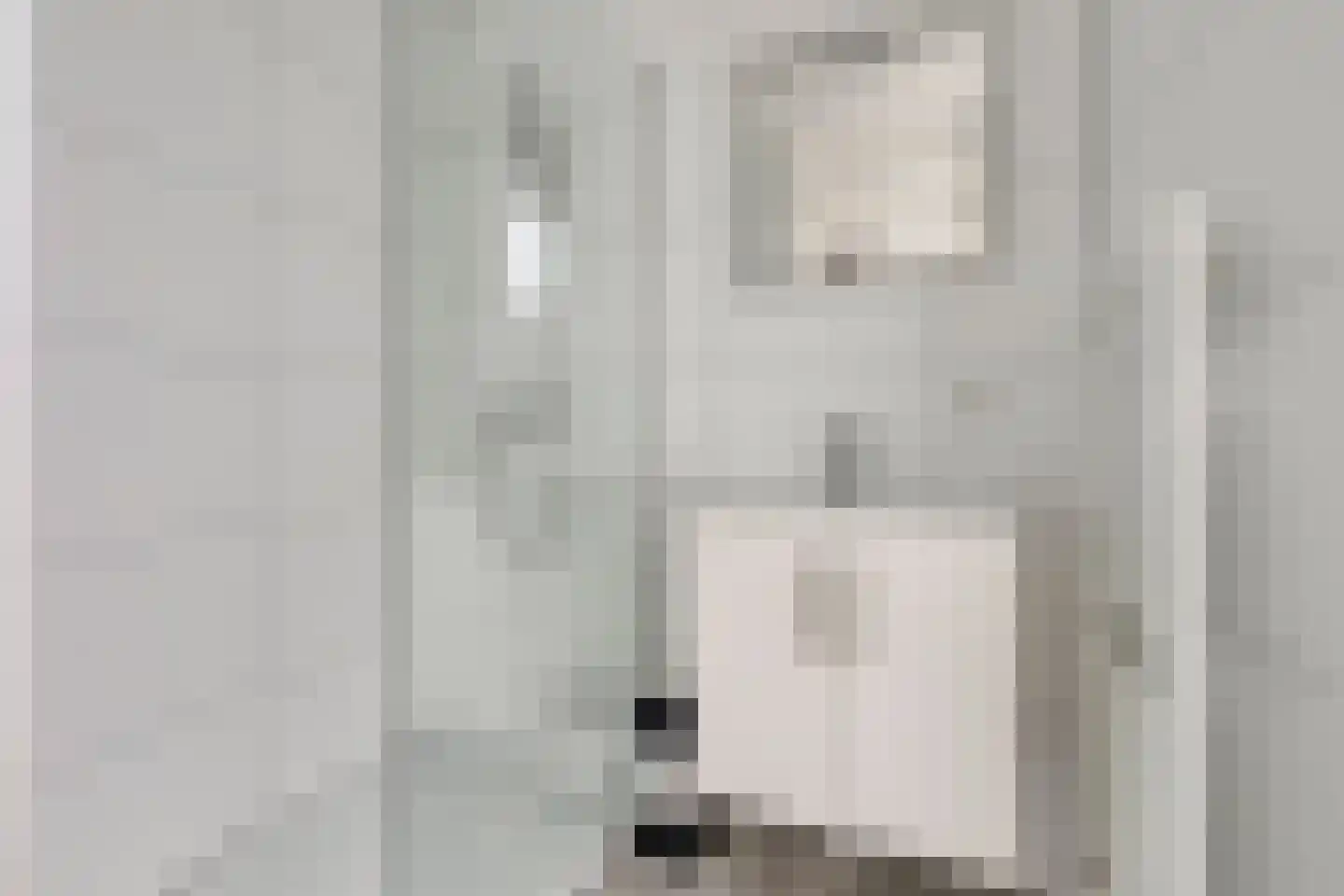 Zeedijk 24 641 Nieuwvliet thumbnail 15