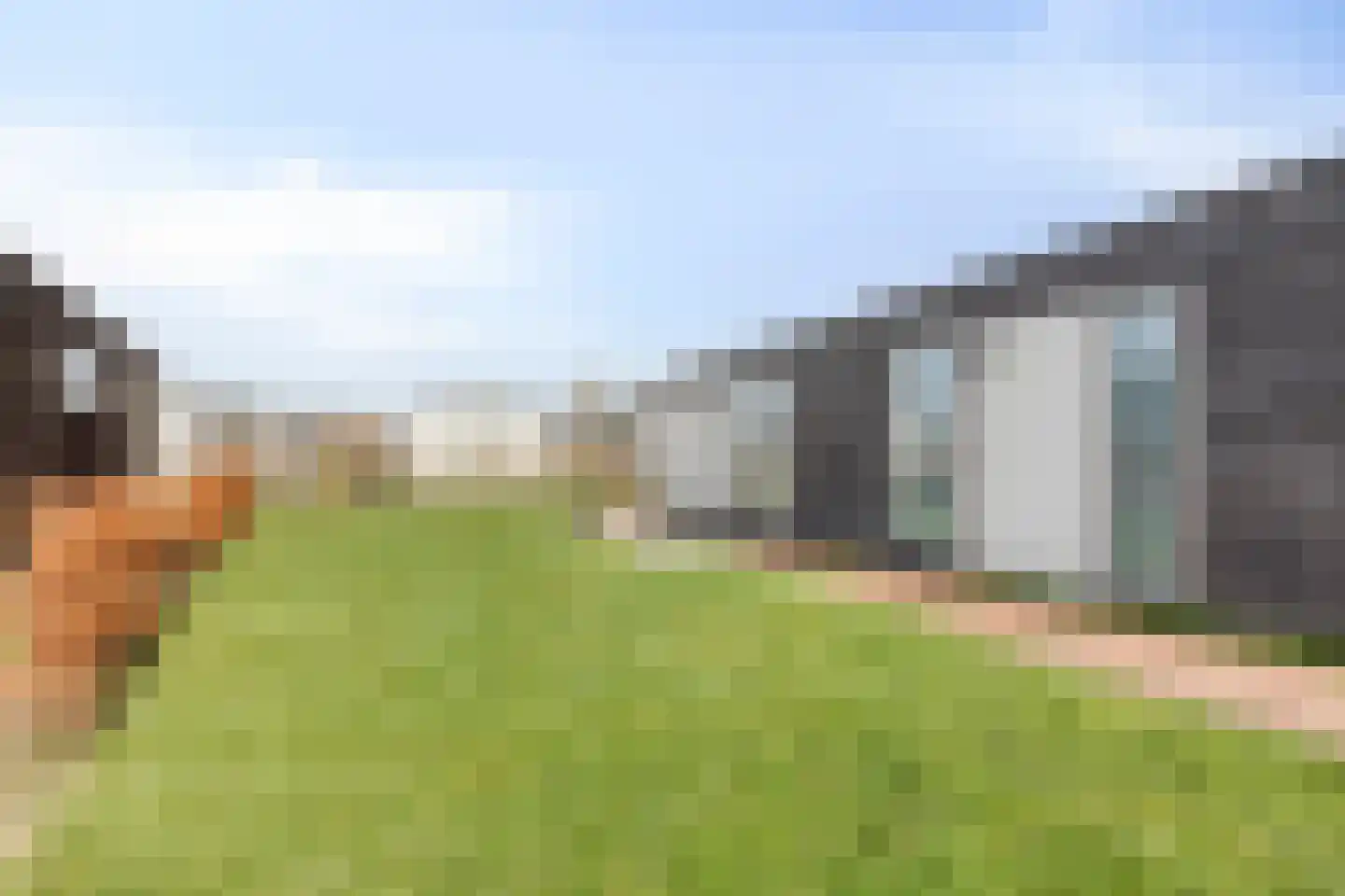 Zeedijk 24 641 Nieuwvliet thumbnail 17