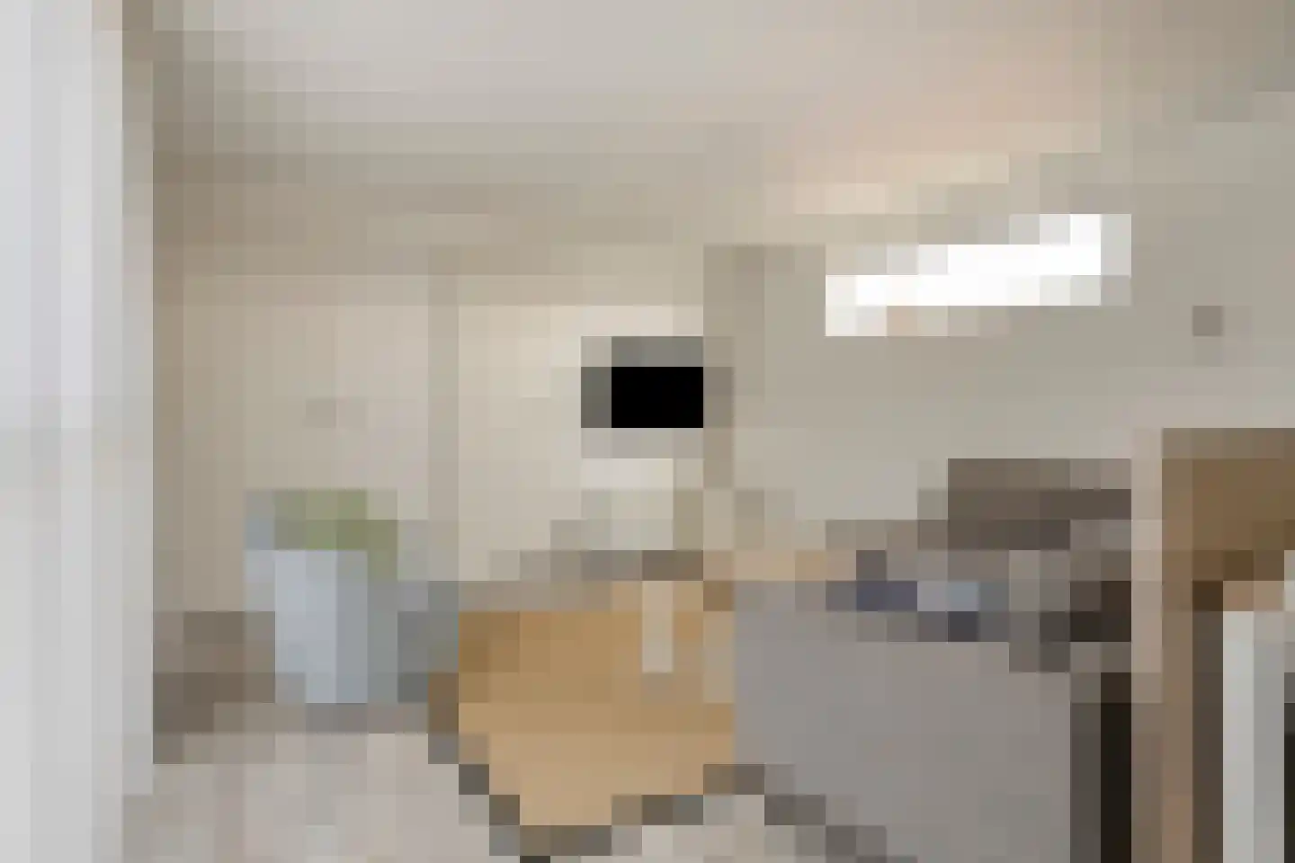 Zeedijk 24 641 Nieuwvliet thumbnail 5