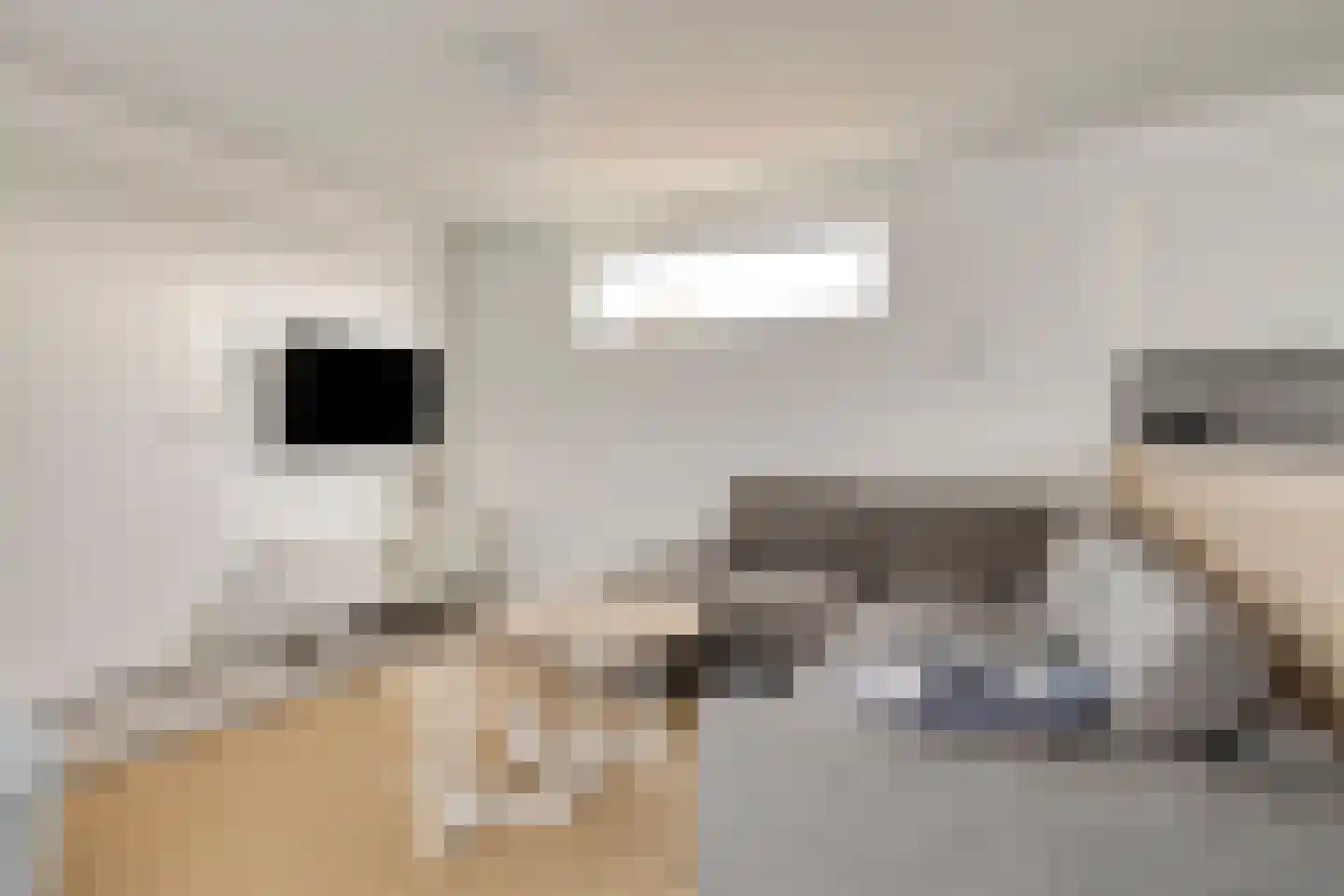 Zeedijk 24 641 Nieuwvliet thumbnail 6