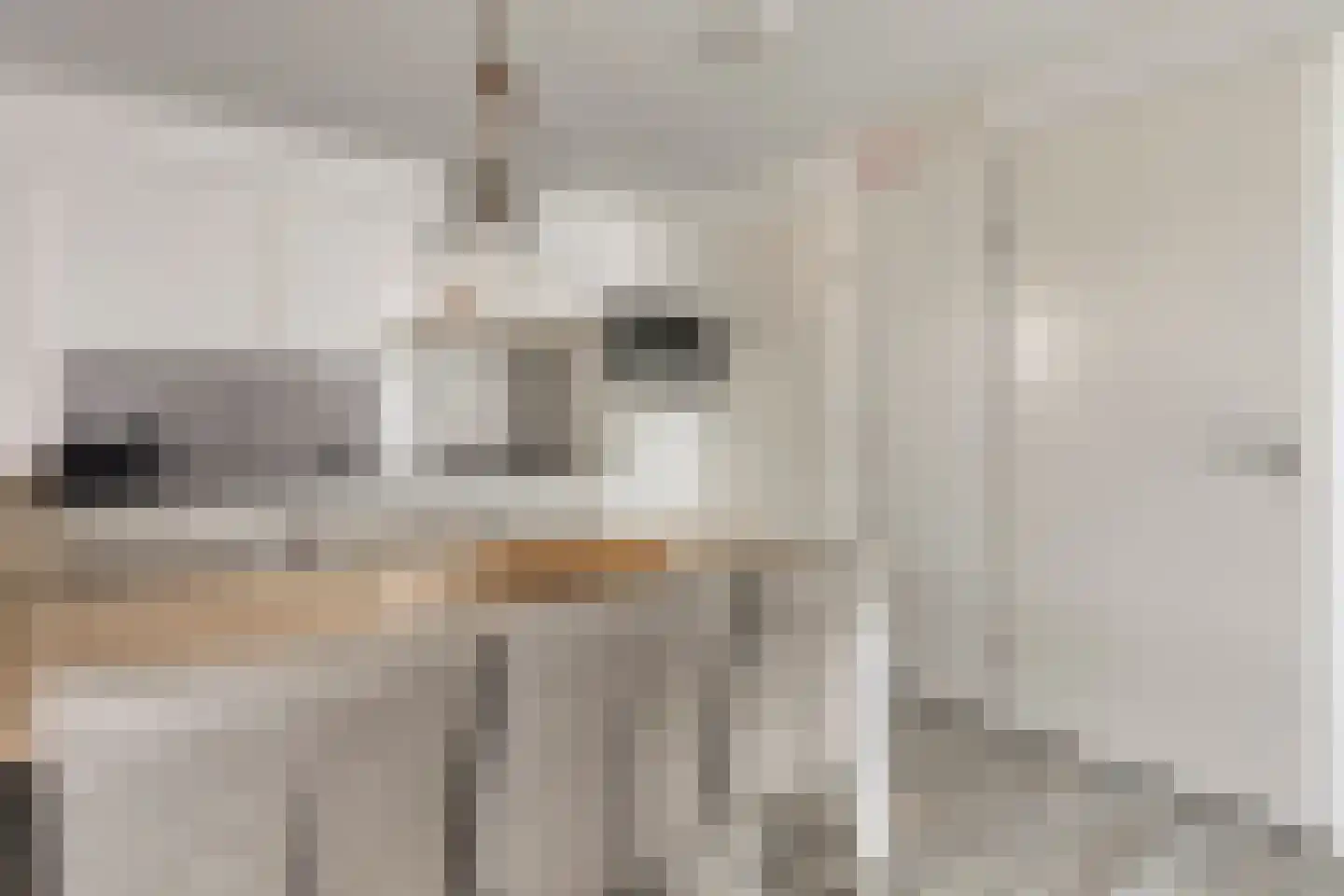 Zeedijk 24 641 Nieuwvliet thumbnail 9