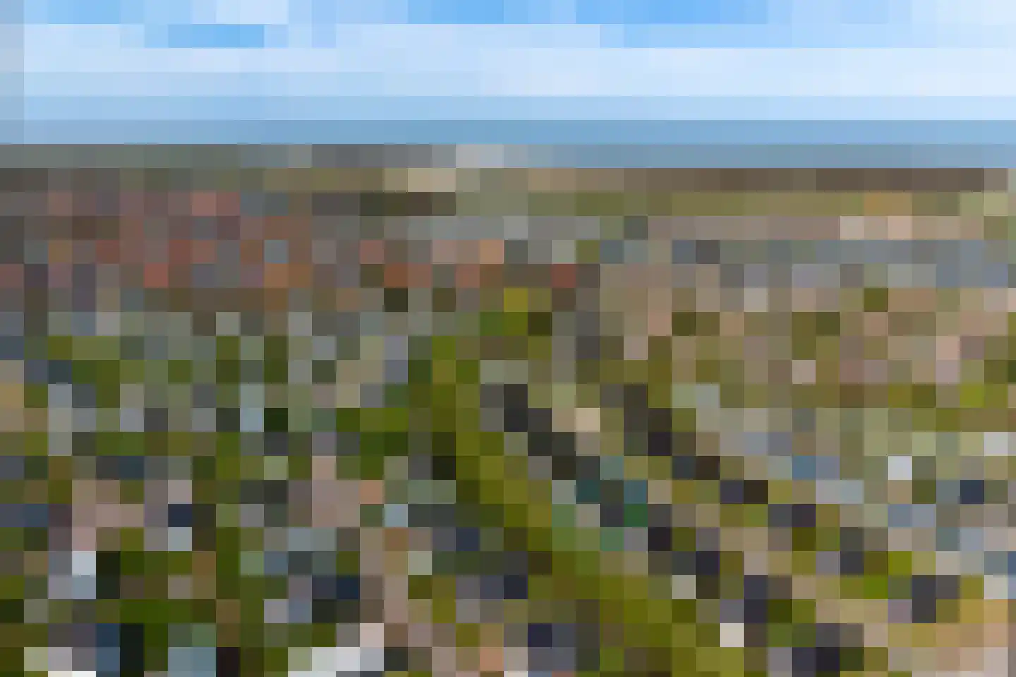 Zeedijk 24 650 Nieuwvliet thumbnail 6