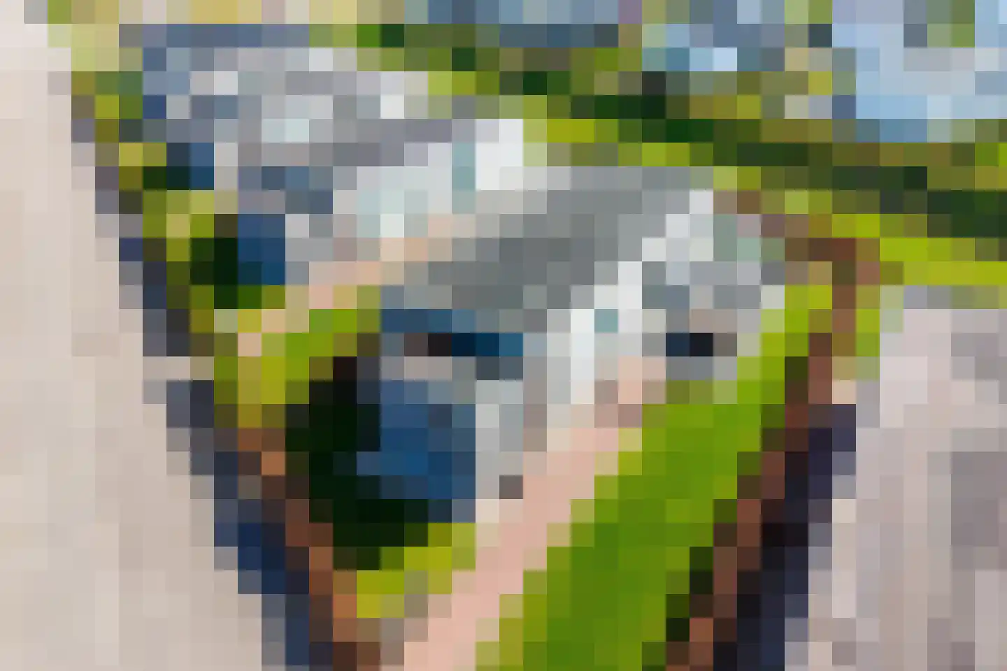 Zeedijk 24 650 Nieuwvliet thumbnail 7